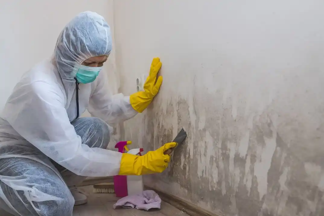 water damage restoration service Timber Cove
